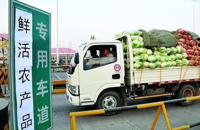 新疆货运车辆绿色通道规定